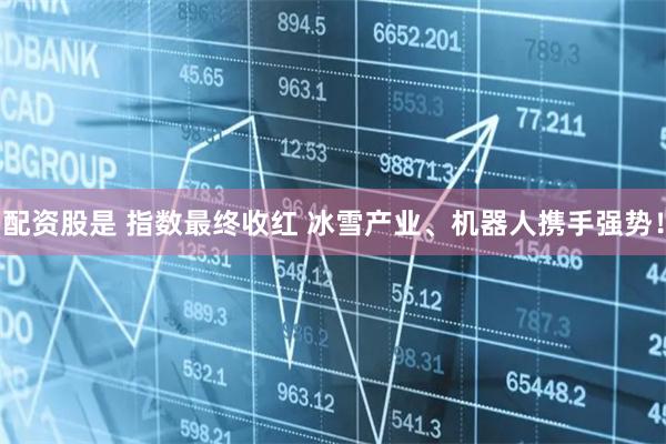 配资股是 指数最终收红 冰雪产业、机器人携手强势！