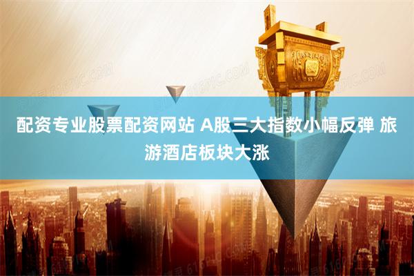 配资专业股票配资网站 A股三大指数小幅反弹 旅游酒店板块大涨