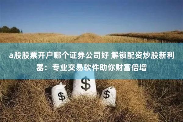 a股股票开户哪个证券公司好 解锁配资炒股新利器：专业交易软件助你财富倍增