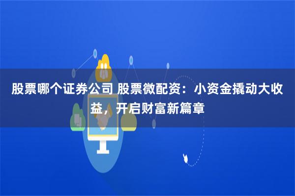 股票哪个证券公司 股票微配资：小资金撬动大收益，开启财富新篇章
